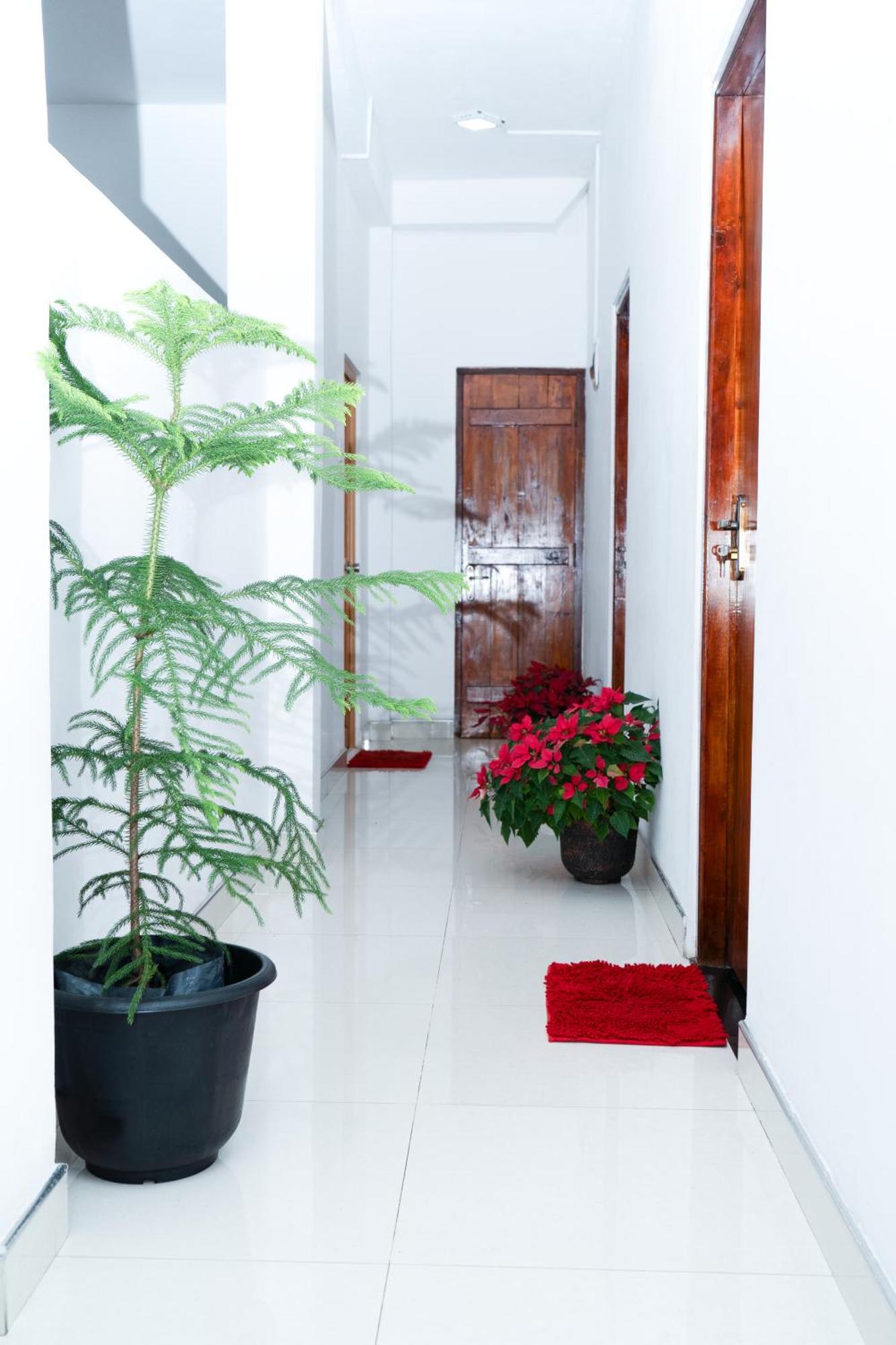 Flower Top Ella Ngoại thất bức ảnh